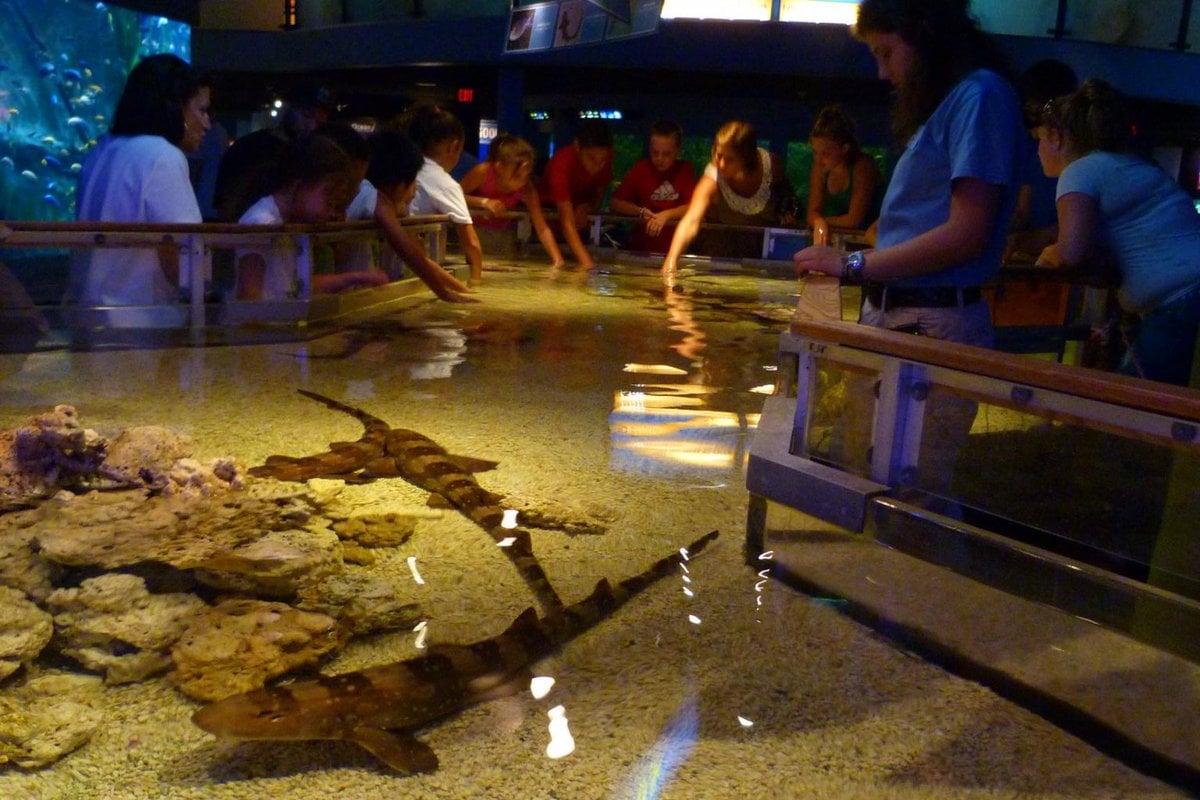 Mystic Aquarium - Gallery Image 1